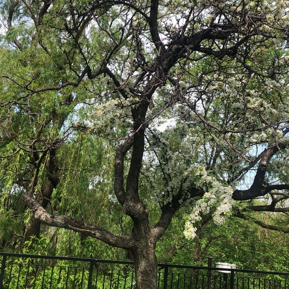 Meet your Posher, Iyabo - Picture 7 of 16